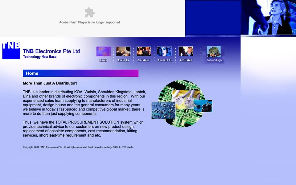 TNB Electronics website homepage, 4 Oct 2026